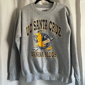UCSC crew neck sweatshirt